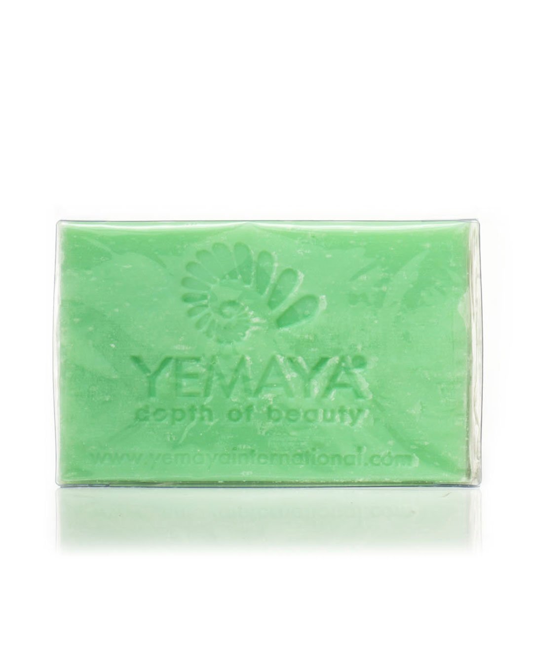 Sapone verde ai sali del Mar Morto